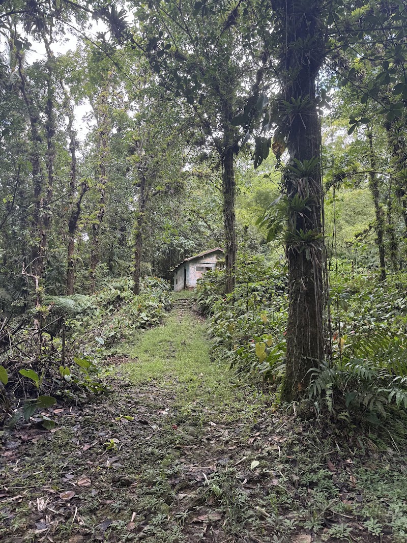 Photo 3 at Des Cartier Trail in Blanchard