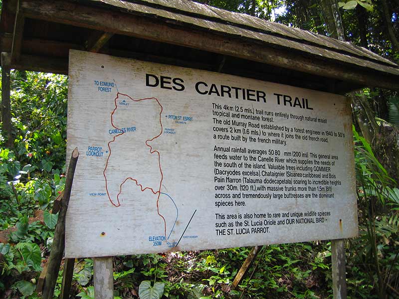 Photo 4 at Des Cartier Trail in Blanchard
