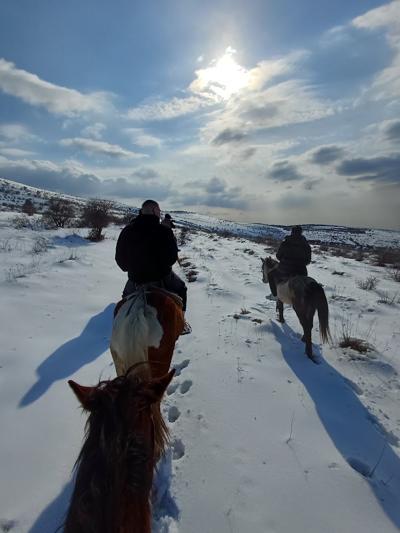 Photo 1 at Mankus Eco Park in Dzoraghbyur