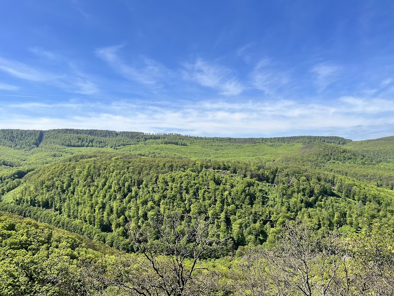 Photo 6 at Danube-Ipoly National Park in Budapest