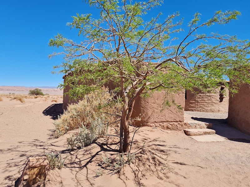 Photo 6 at Tulor in San Pedro de Atacama