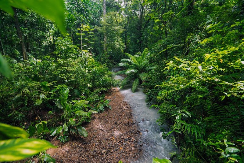 Photo 1 at Parque Nacional Camino de Cruces in Panama City
