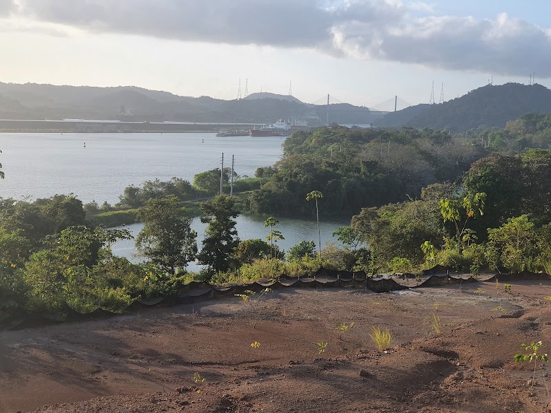 Photo 4 at Parque Nacional Camino de Cruces in Panama City