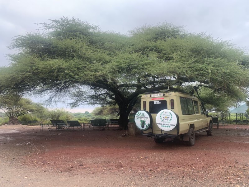 Photo 3 at AFRICA NATURAL TOURS L.T.D in 