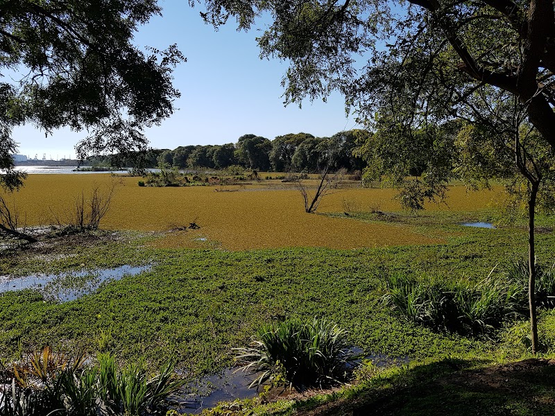 Photo 4 at Reserva Ecológica Costanera Sur in Buenos Aires