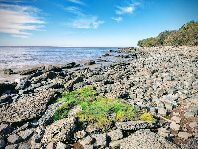 Photo 3 at Reserva Ecológica Costanera Sur in Buenos Aires