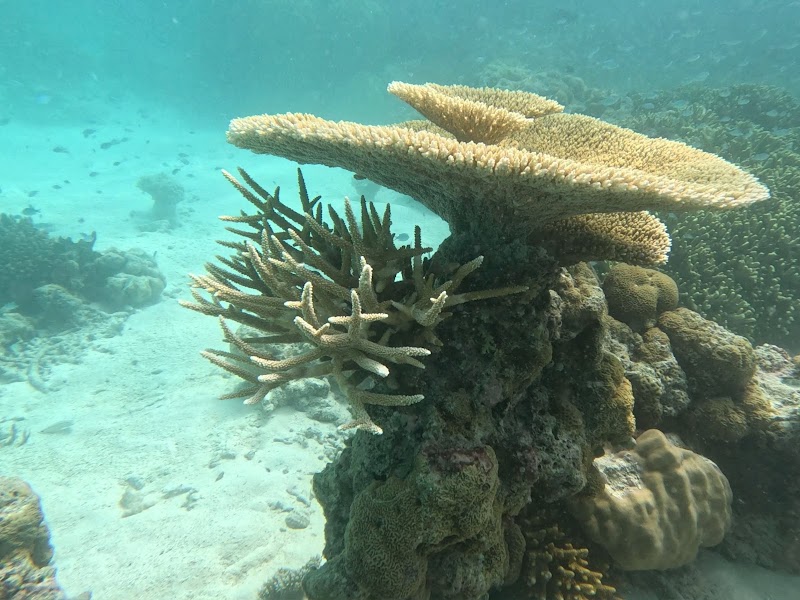 Photo 6 at Secret Paradise Maldives Tours in Malé