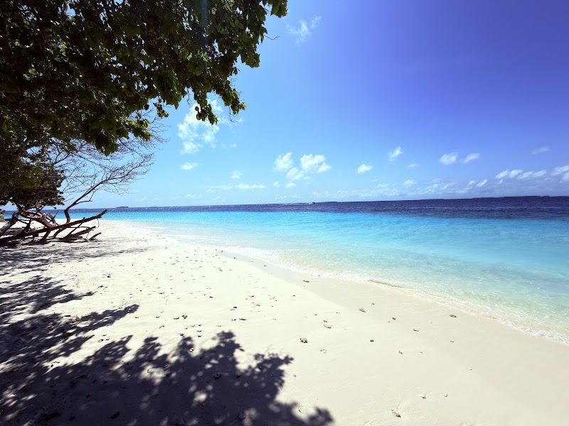 Photo 5 at Secret Paradise Maldives Tours in Malé