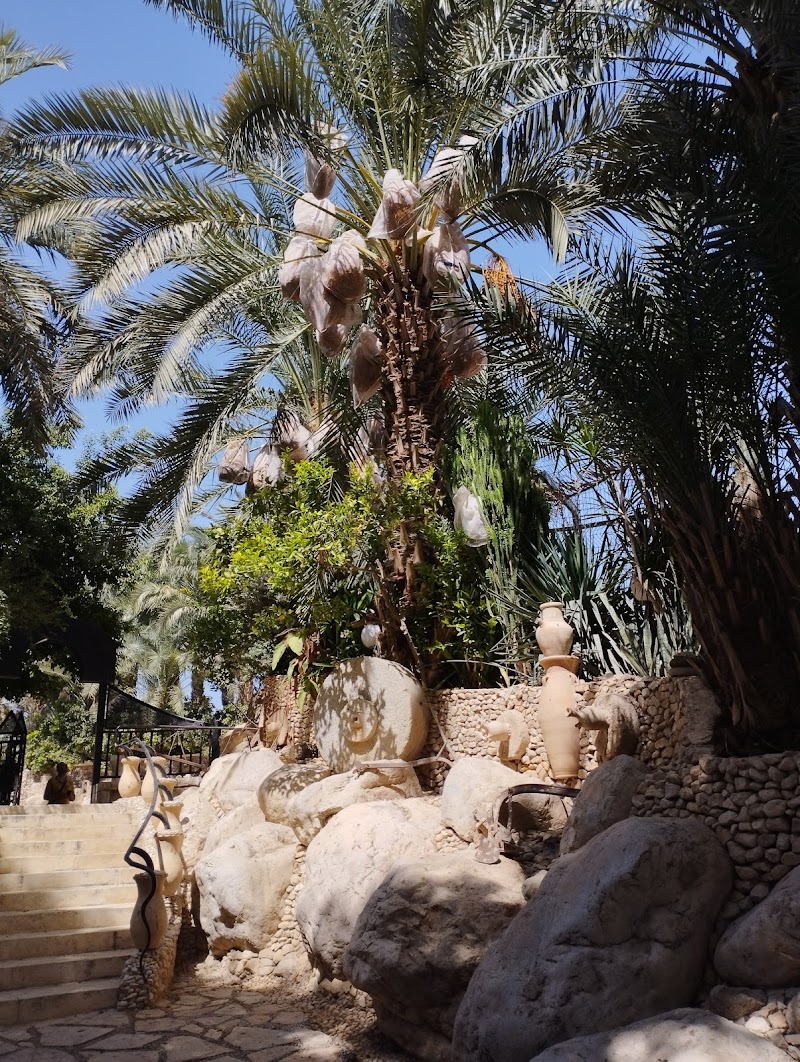 Photo 4 at Ancient Jericho/ Tell es-Sultan in Ein Al Sultan