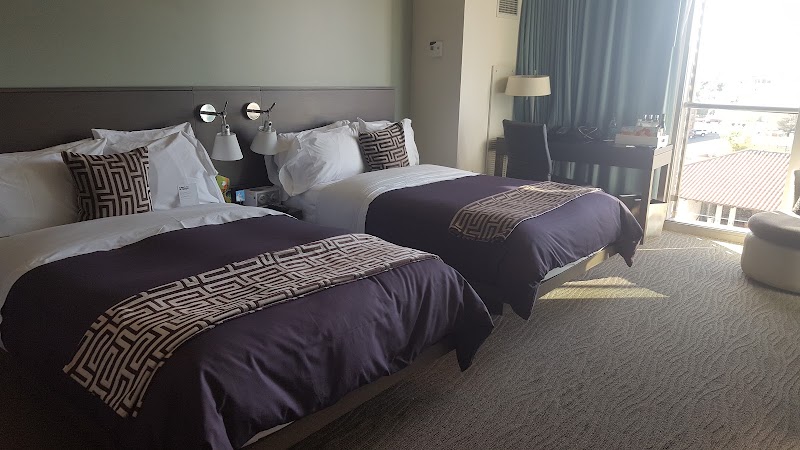 Photo 5 at W Scottsdale in Scottsdale