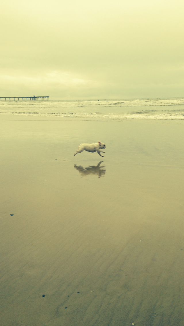 Photo 6 at Ocean Beach Hotel in San Diego