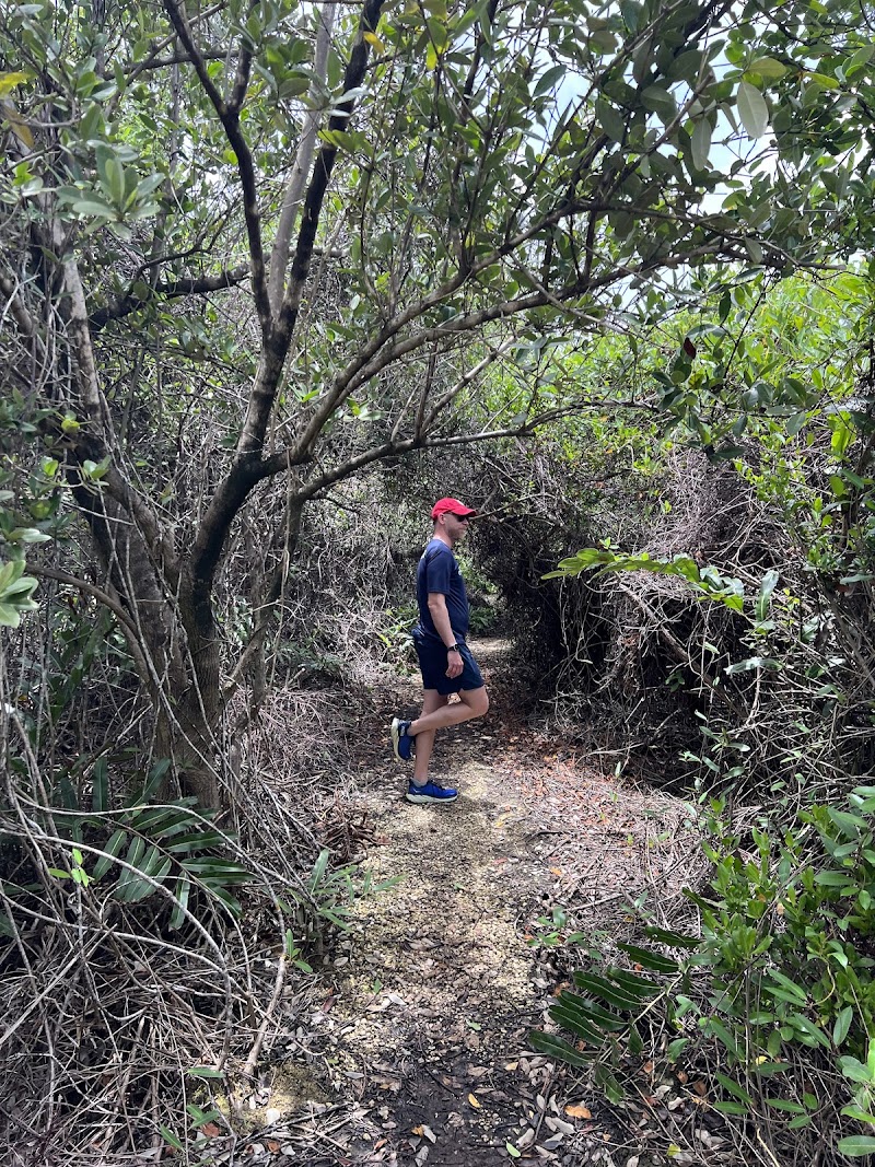 Photo 2 at Mastic Trail Southern Trailhead in Breakers