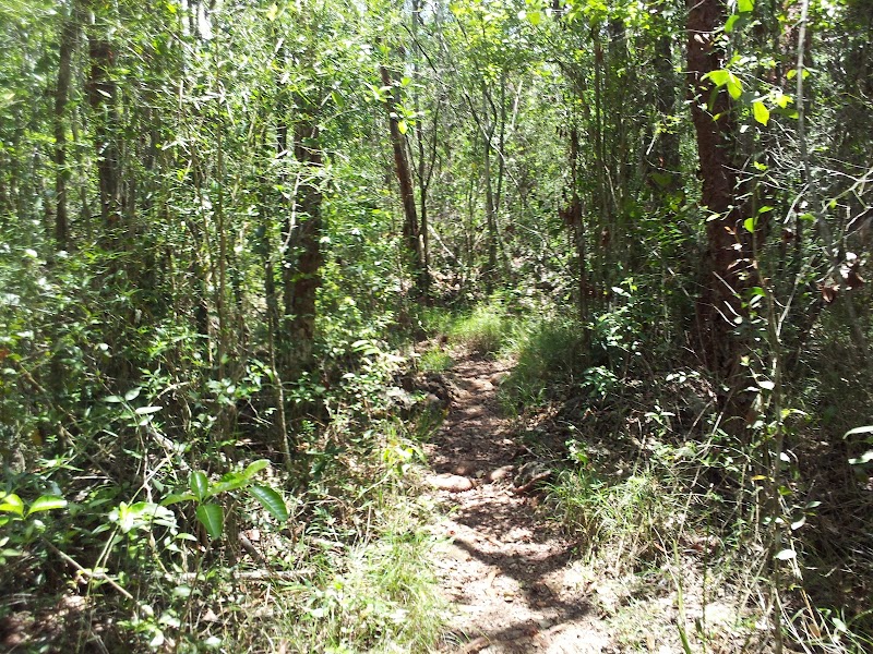 Photo 1 at Mastic Trail Southern Trailhead in Breakers