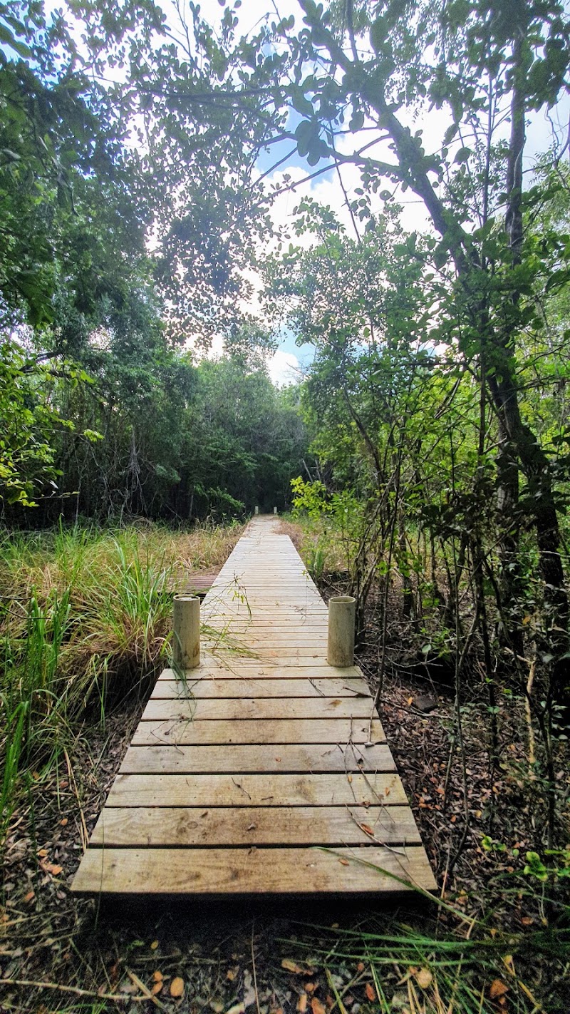 Mastic Trail Southern Trailhead in Breakers