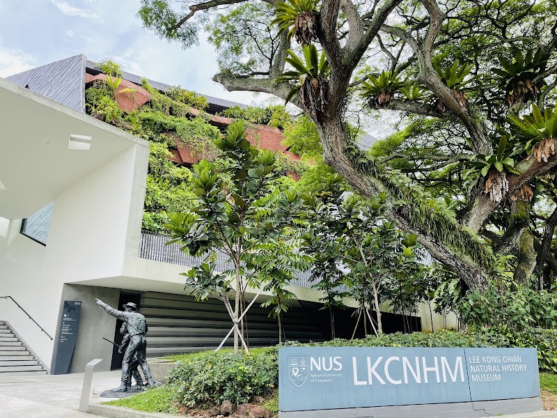 Photo 3 at Lee Kong Chian Natural History Museum, Singapore in Singapore