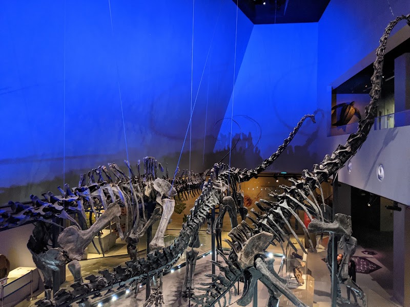 Photo 1 at Lee Kong Chian Natural History Museum, Singapore in Singapore
