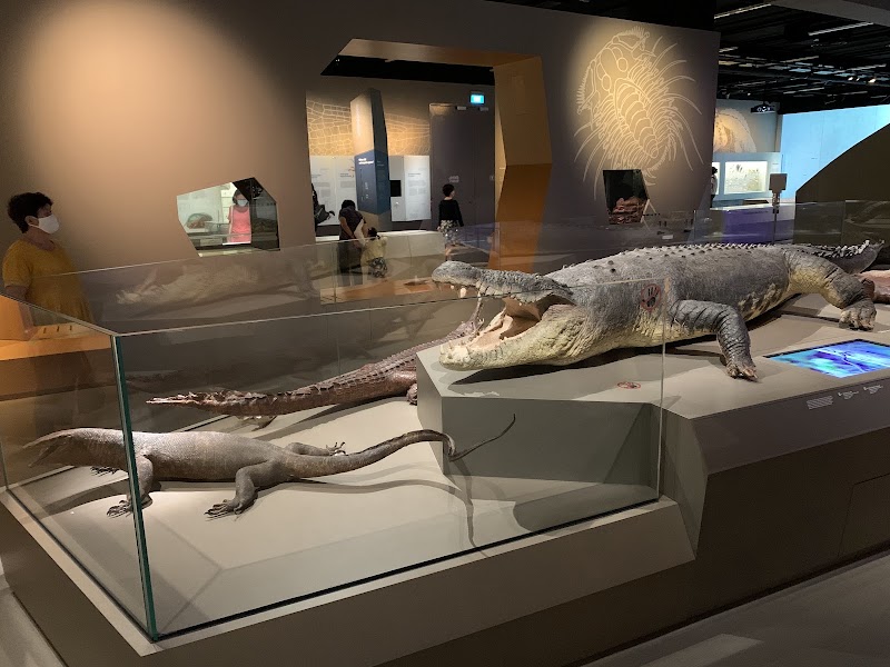 Photo 5 at Lee Kong Chian Natural History Museum, Singapore in Singapore