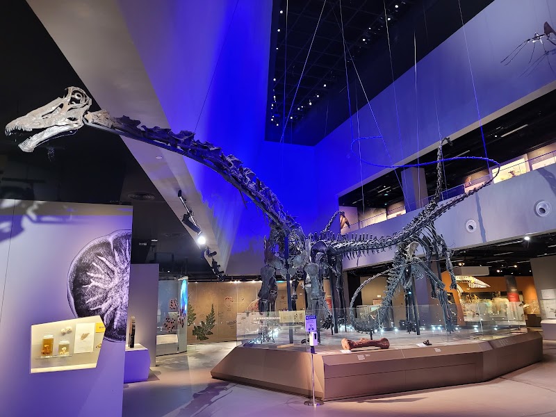 Photo 4 at Lee Kong Chian Natural History Museum, Singapore in Singapore