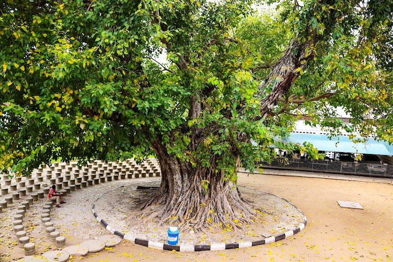 Photo 5 at National Museum and House of Culture in Dar es Salaam