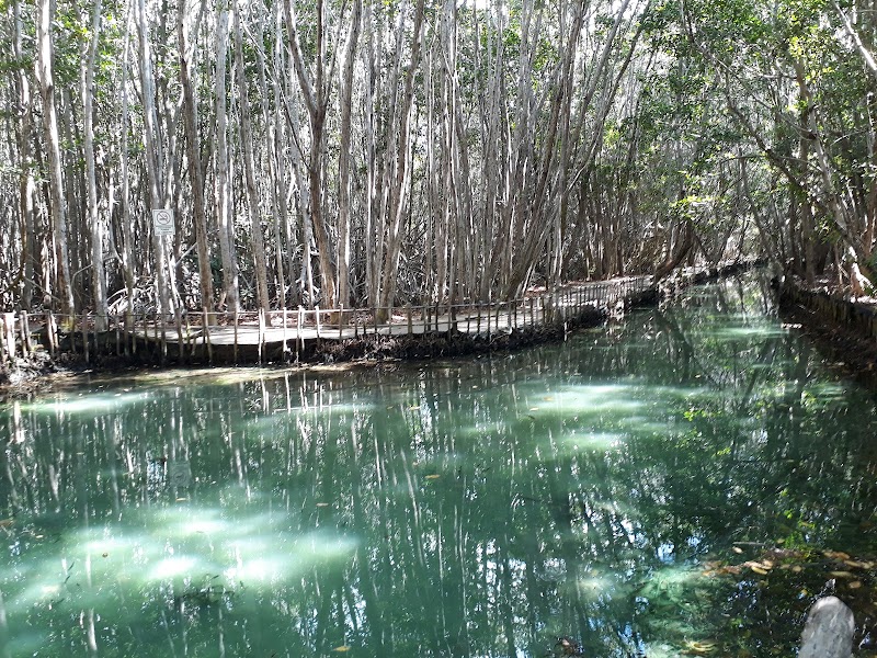 Photo 1 at Reserva Ecológica El Corchito in Progreso
