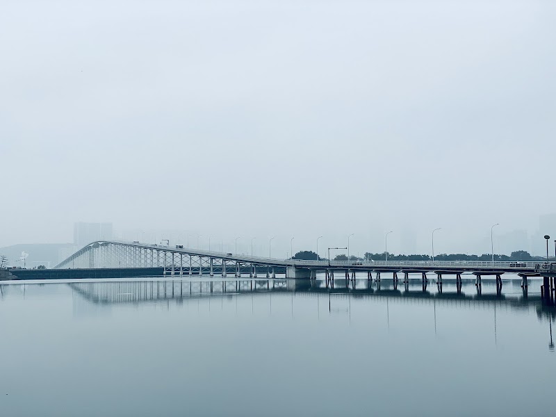 Governador Nobre de Carvalho Bridge in 