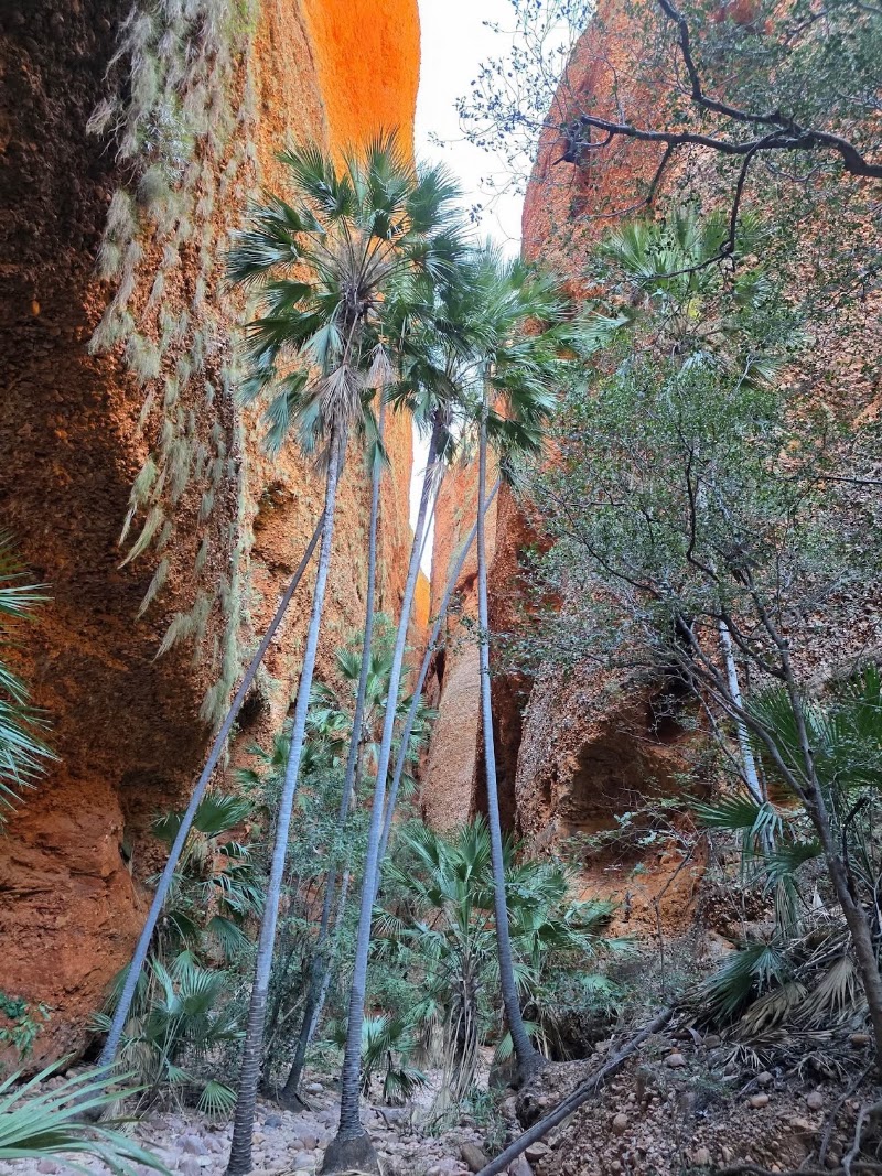 Photo 3 at The Bungle Bungles in Purnululu