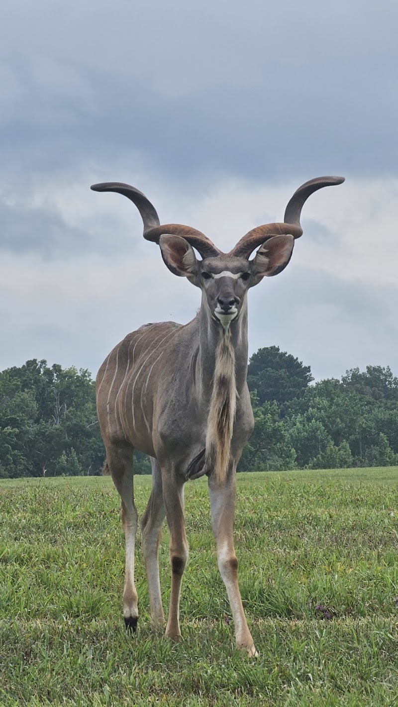 Photo 4 at Georgia Safari Conservation Park in Madison