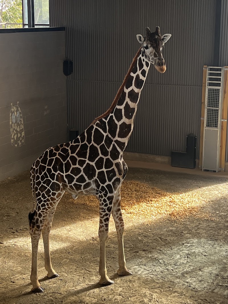 Photo 6 at Georgia Safari Conservation Park in Madison