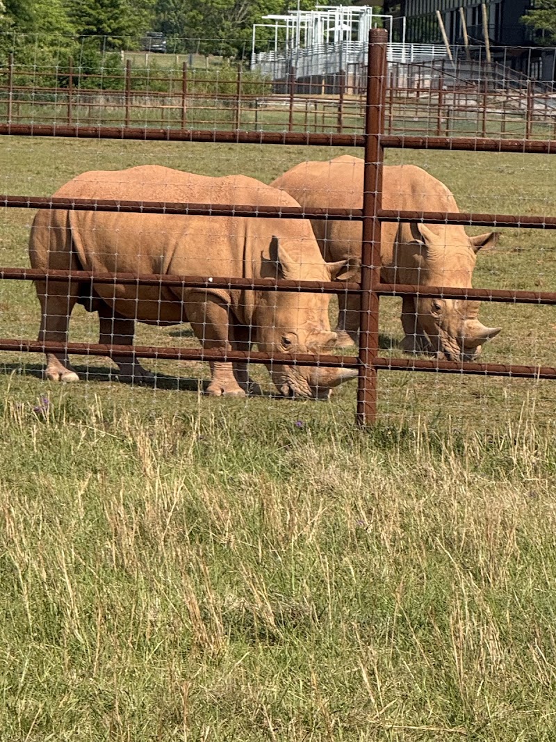 Photo 3 at Georgia Safari Conservation Park in Madison