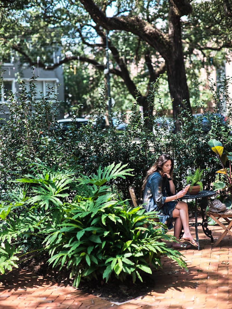 Photo 6 at Columns in New Orleans