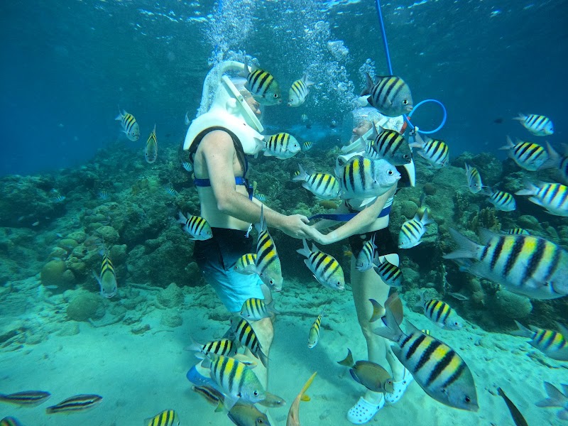 Sea Trek Curacao Underwater Walking Tour in Willemstad
