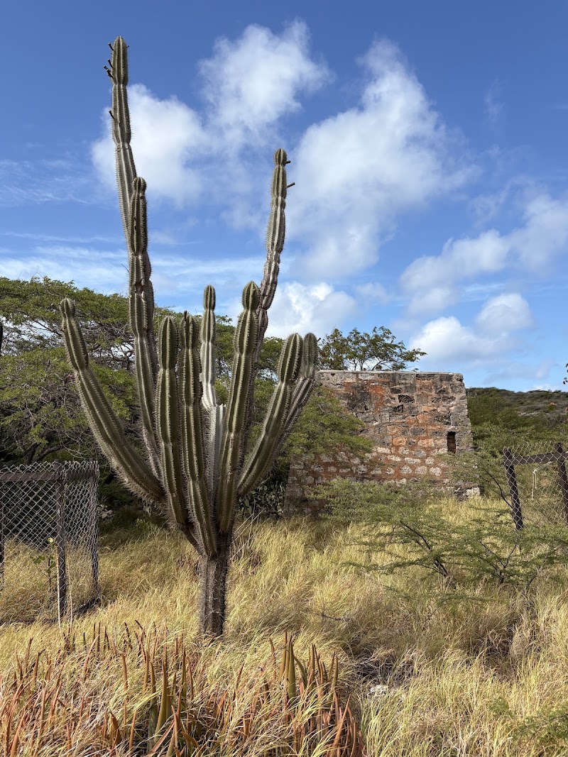 Photo 3 at Balashi Gold Mills in Oranjestad