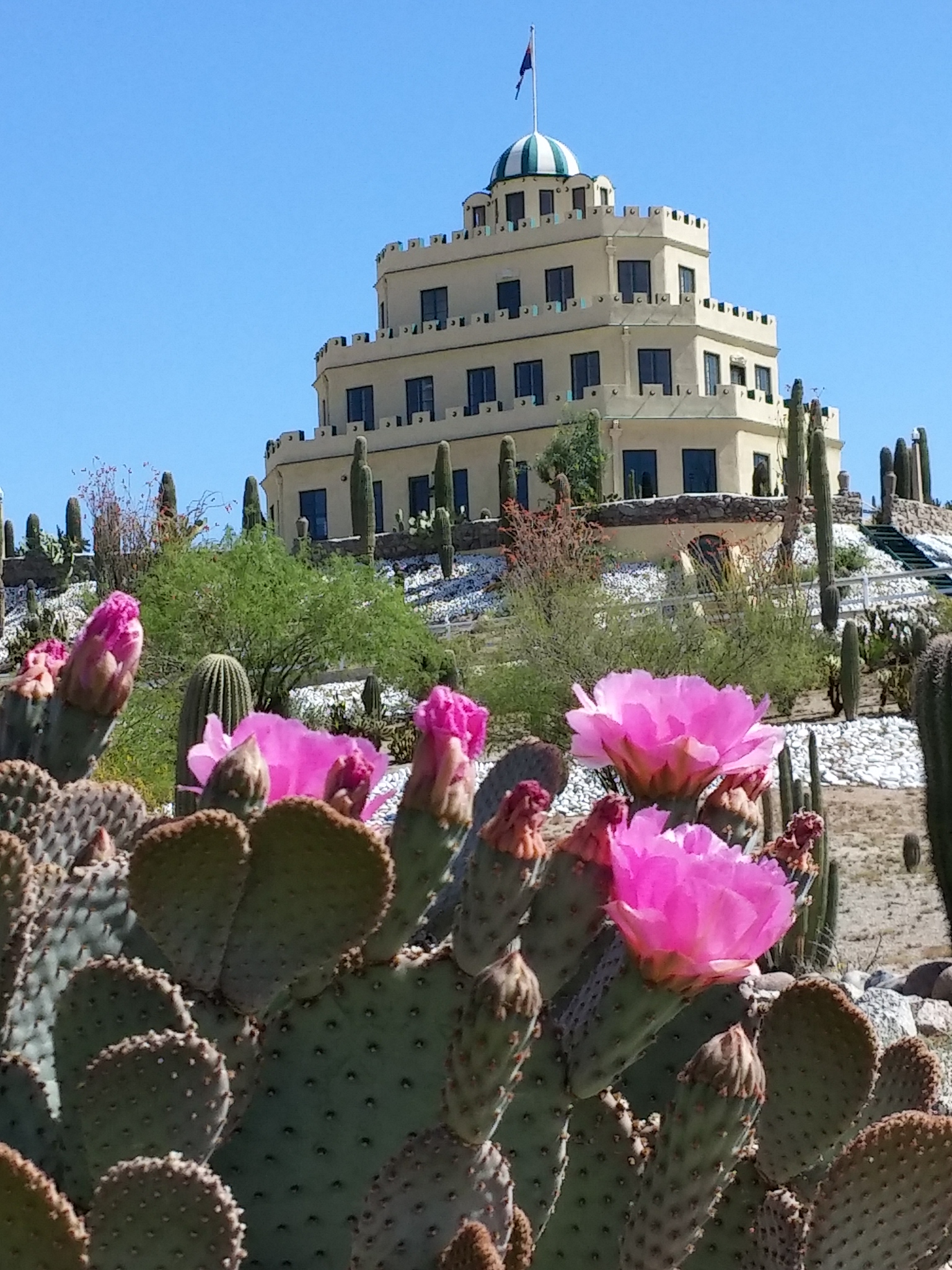 Tovrea Castle at Carraro Heights in Phoenix