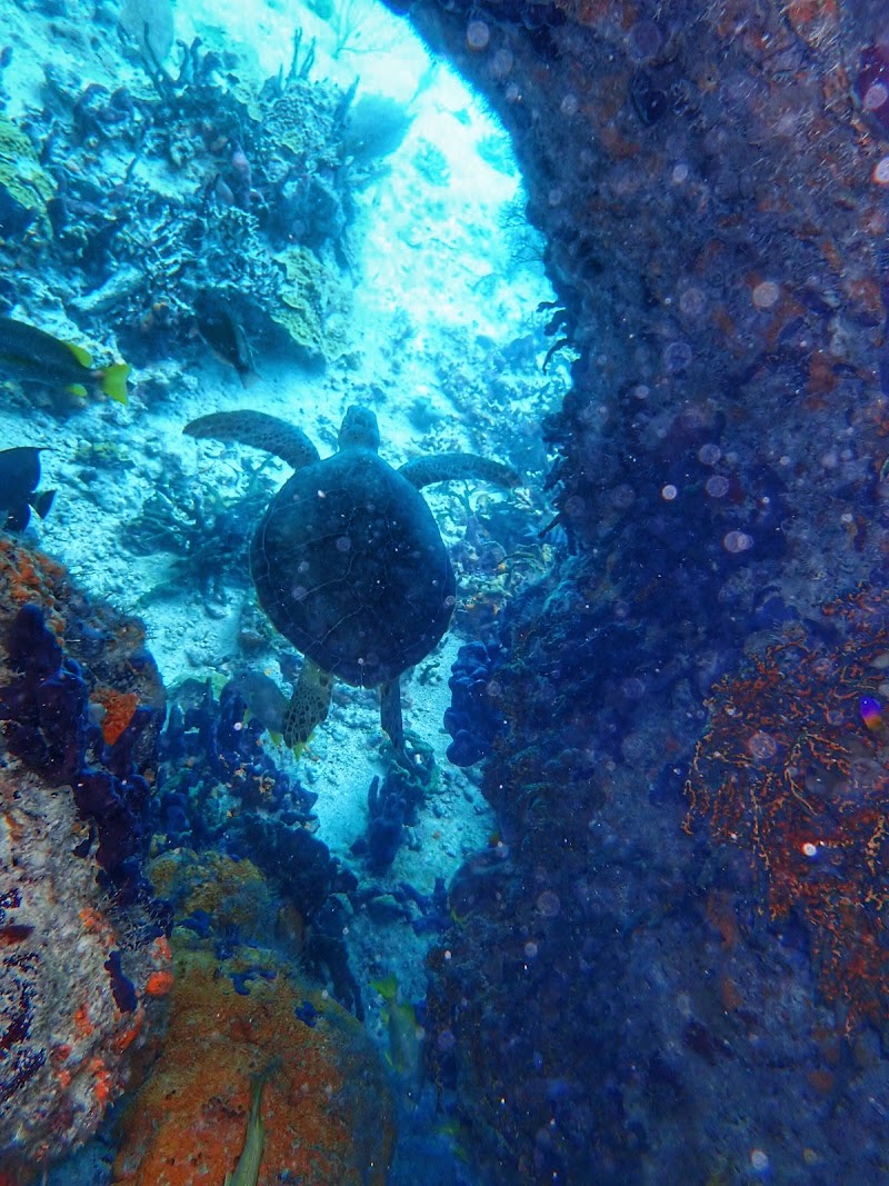 Photo 2 at Thunderball Grotto in 