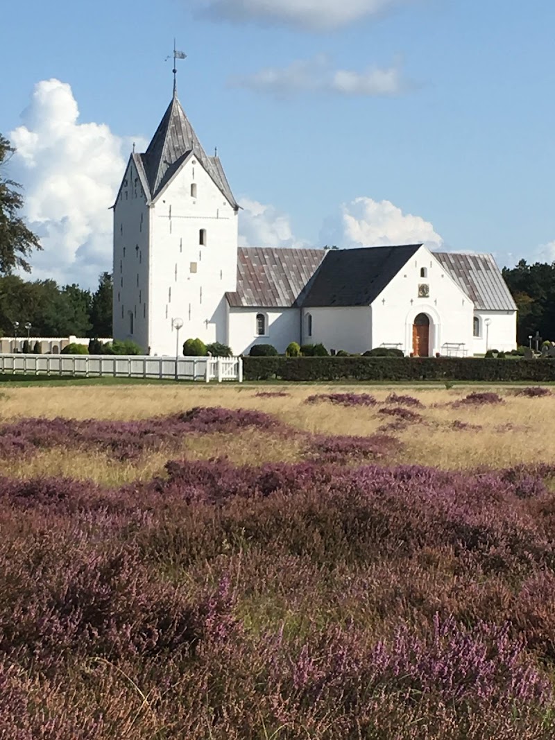 Photo 4 at Wadden Sea National Park in 