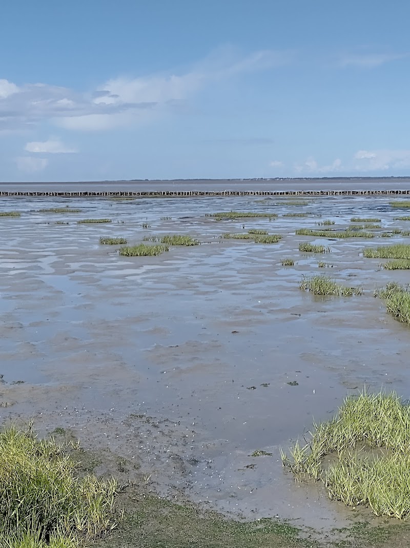 Photo 2 at Wadden Sea National Park in 