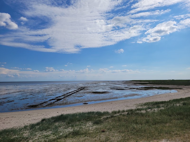 Photo 5 at Wadden Sea National Park in 