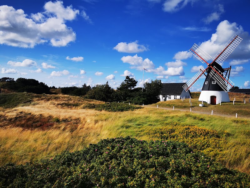 Photo 1 at Wadden Sea National Park in 