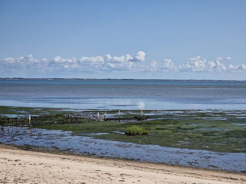 Wadden Sea National Park in 