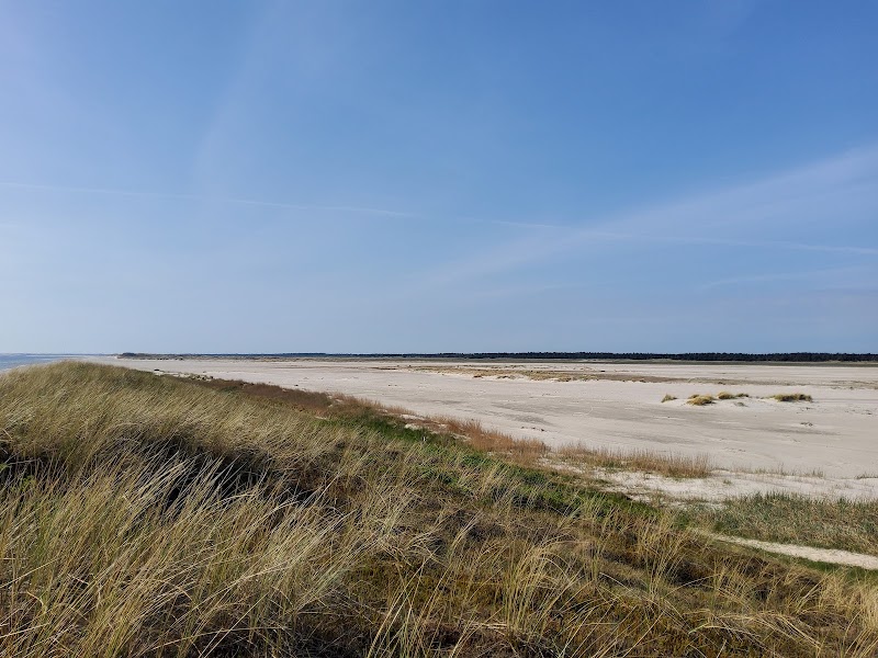 Photo 3 at Wadden Sea National Park in 