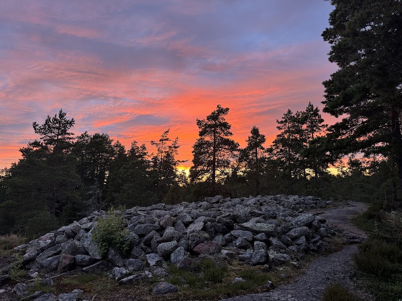 Photo 5 at Sammallahdenmäki – UNESCO World Heritage Site in Lappi