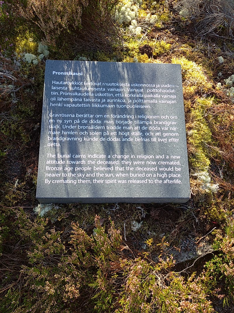 Photo 2 at Sammallahdenmäki – UNESCO World Heritage Site in Lappi