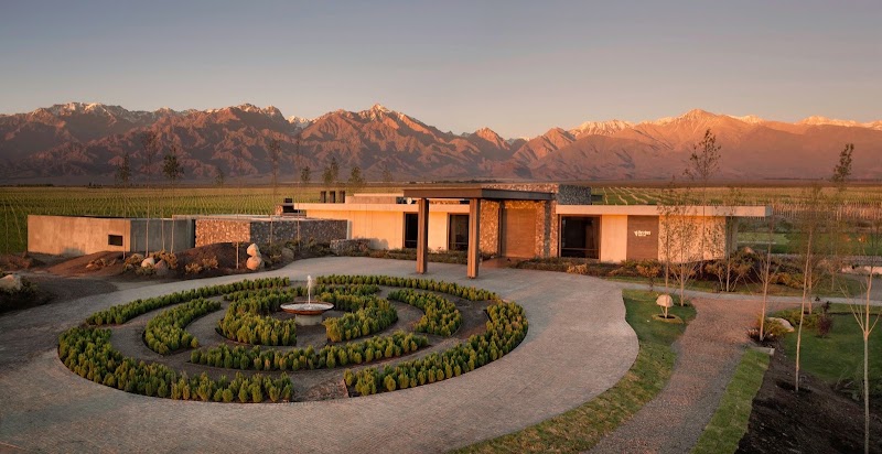 The Vines Resort & Spa in Tunuyán