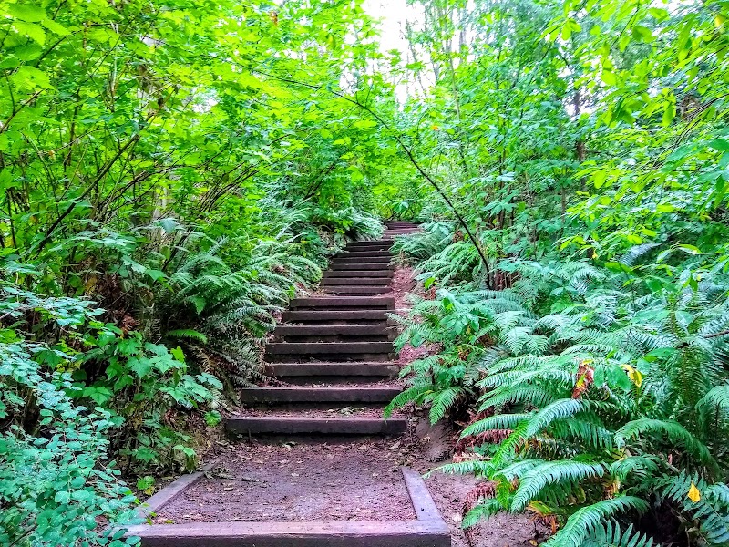 Photo 6 at Discovery Park in Seattle