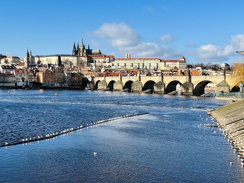 Charles Bridge in Praha 1