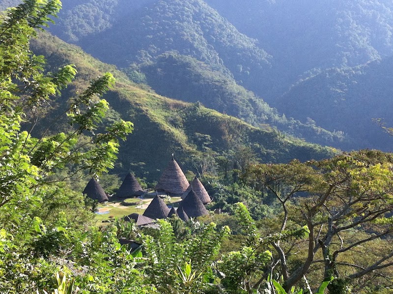 Photo 4 at Waerebo Village in Satar Mese Barat