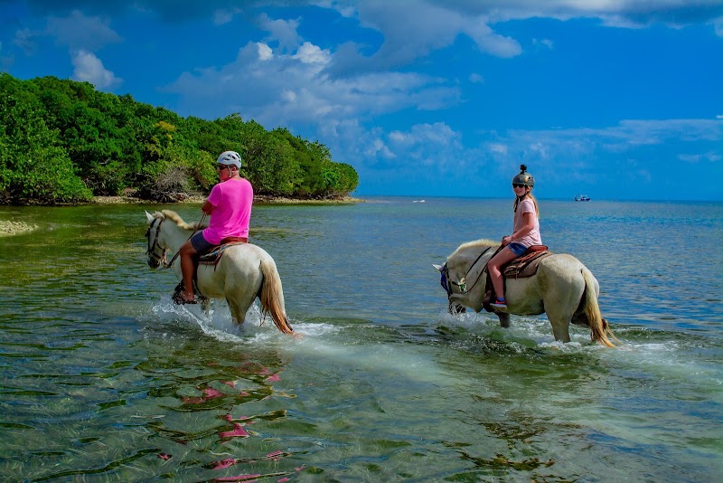 Photo 3 at Xplore Roatan in Dixon Cove