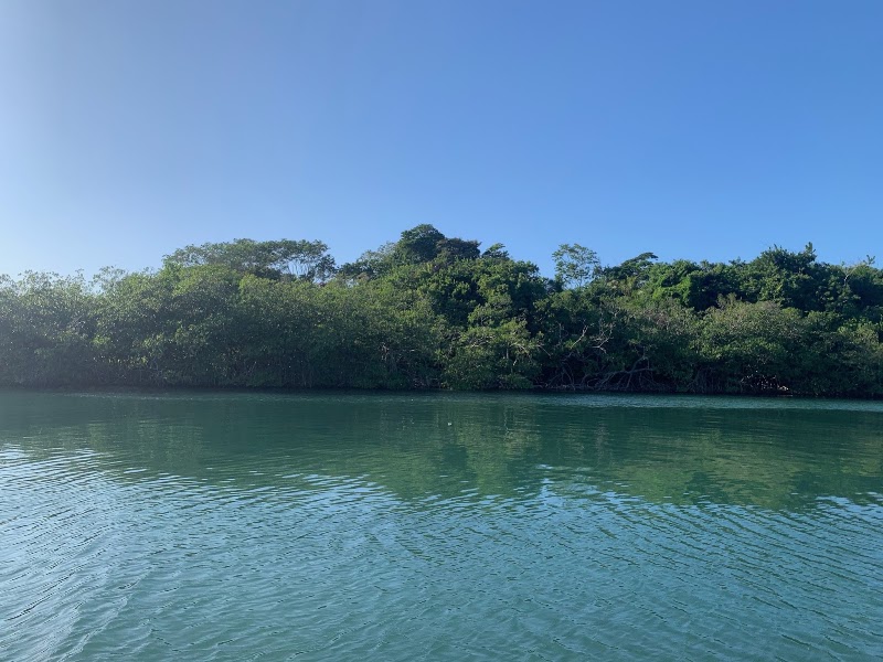 Photo 6 at Xplore Roatan in Dixon Cove