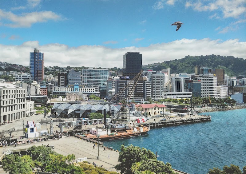 Photo 5 at Museum of New Zealand Te Papa Tongarewa in Wellington
