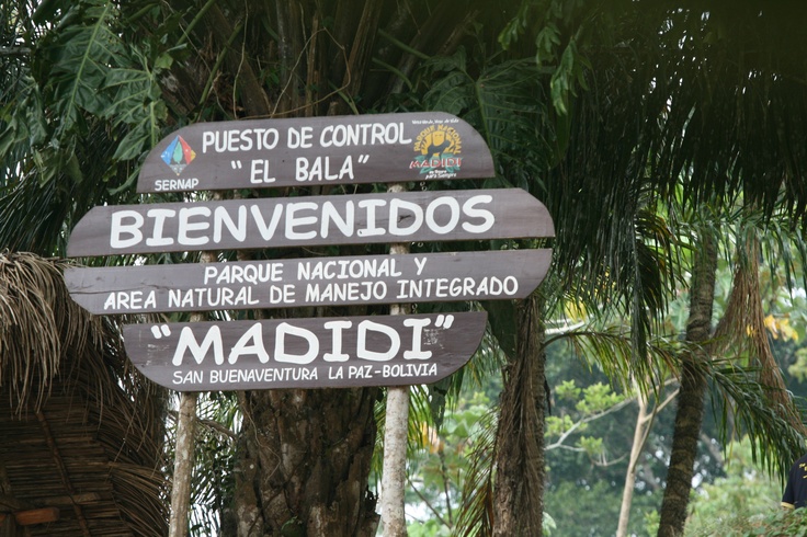 Photo 1 at Parque Nacional Madidi in Ucumari